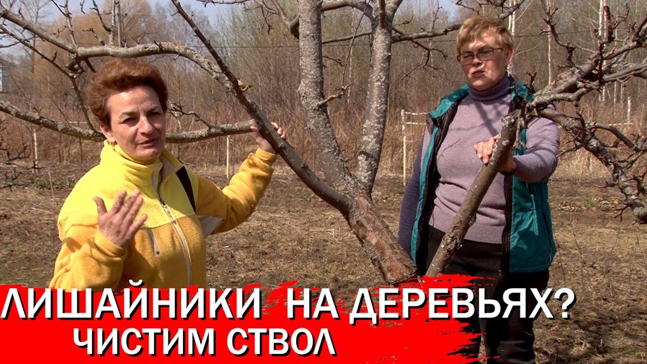 Нажмите, чтобы запустить видео