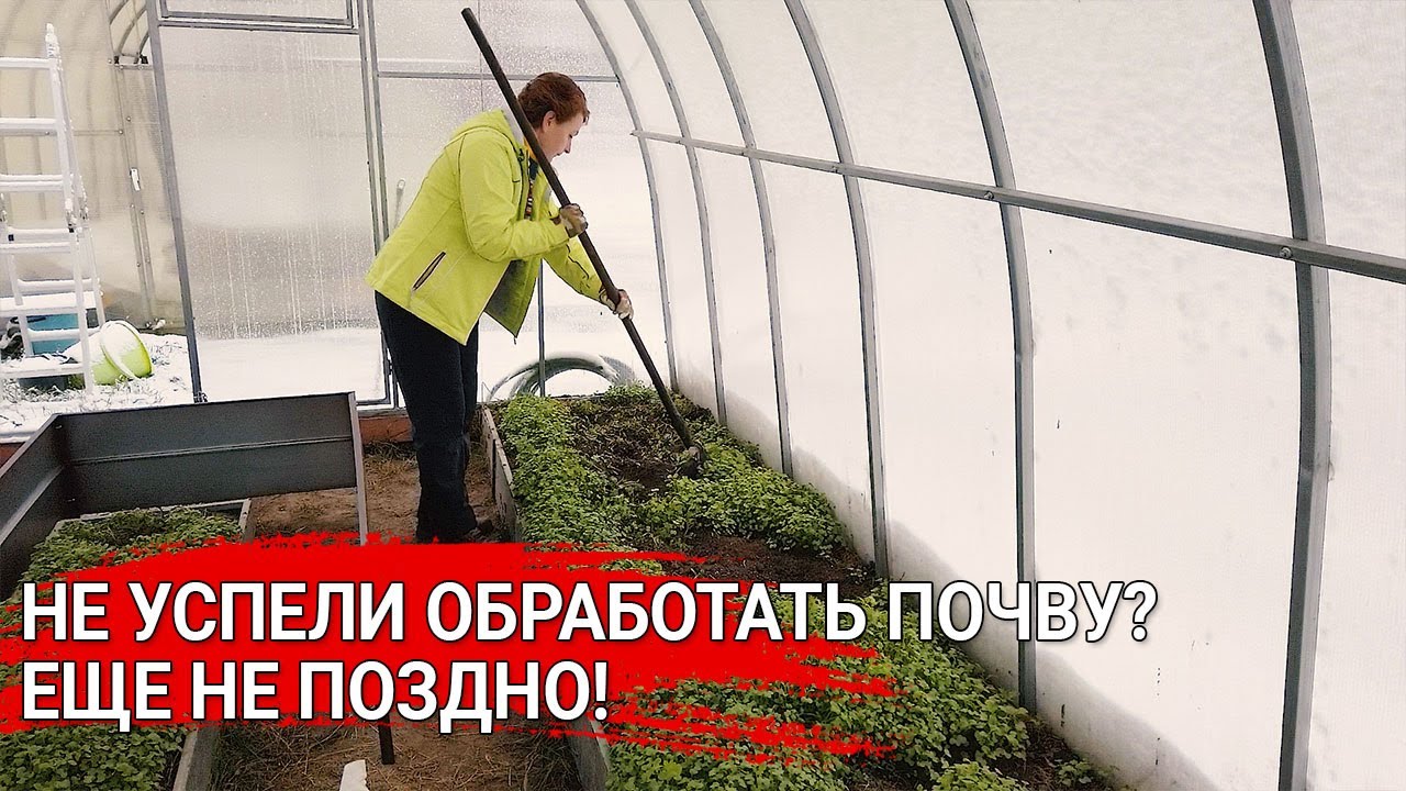 Нажмите, чтобы запустить видео