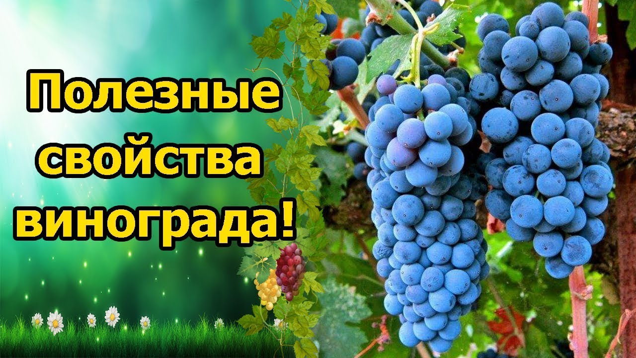 Нажмите, чтобы запустить видео