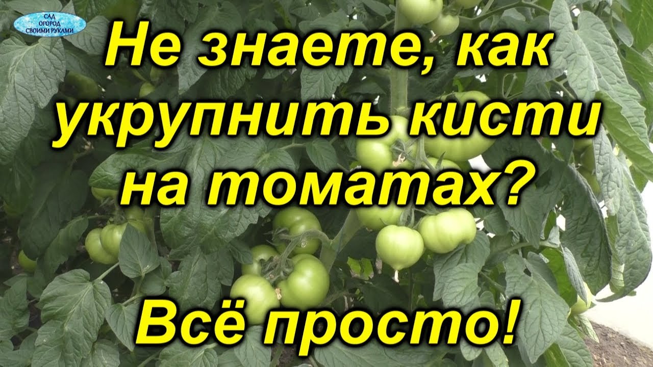 Нажмите, чтобы запустить видео