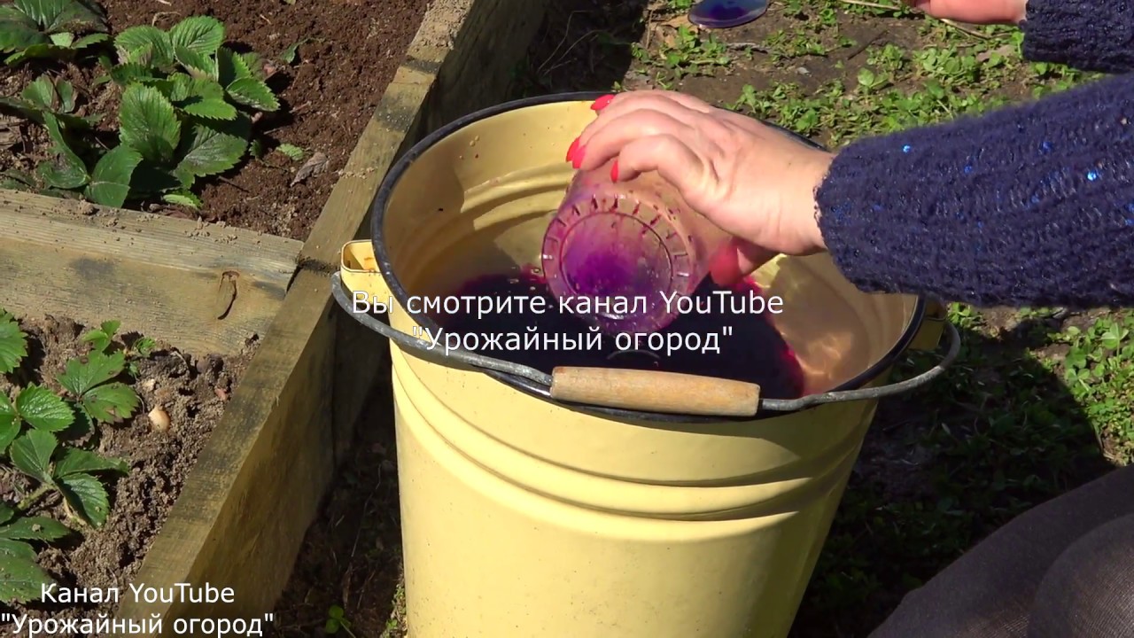 Нажмите, чтобы запустить видео