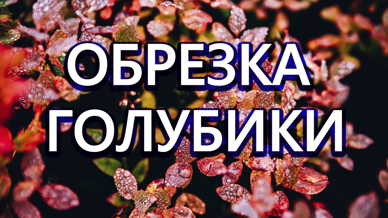 Нажмите, чтобы запустить видео