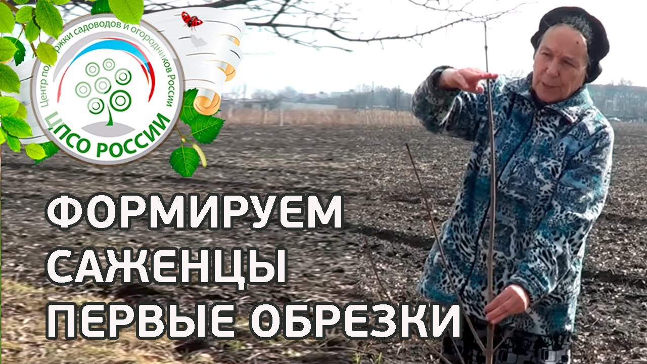 Нажмите, чтобы запустить видео