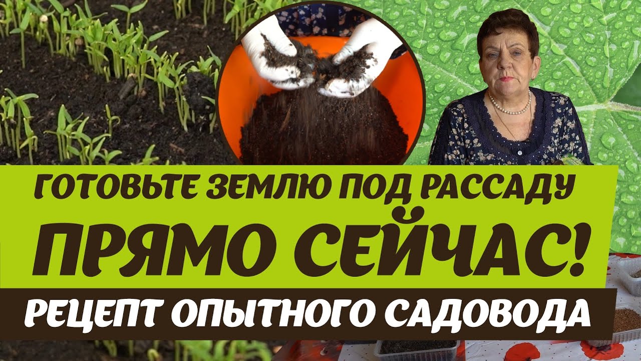 Нажмите, чтобы запустить видео