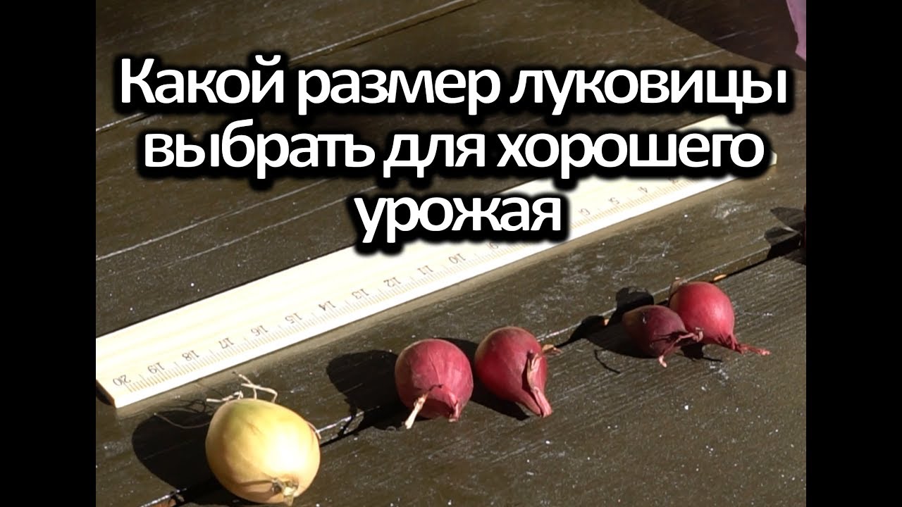 Нажмите, чтобы запустить видео