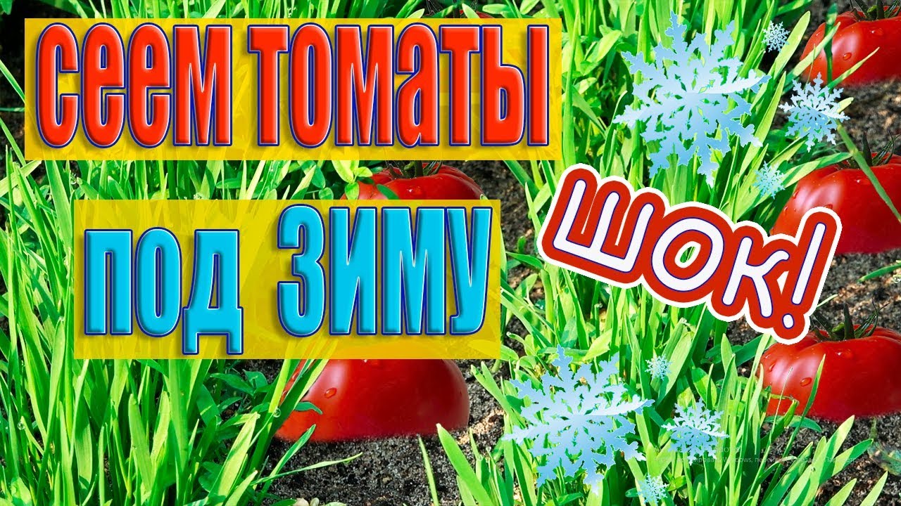 Нажмите, чтобы запустить видео