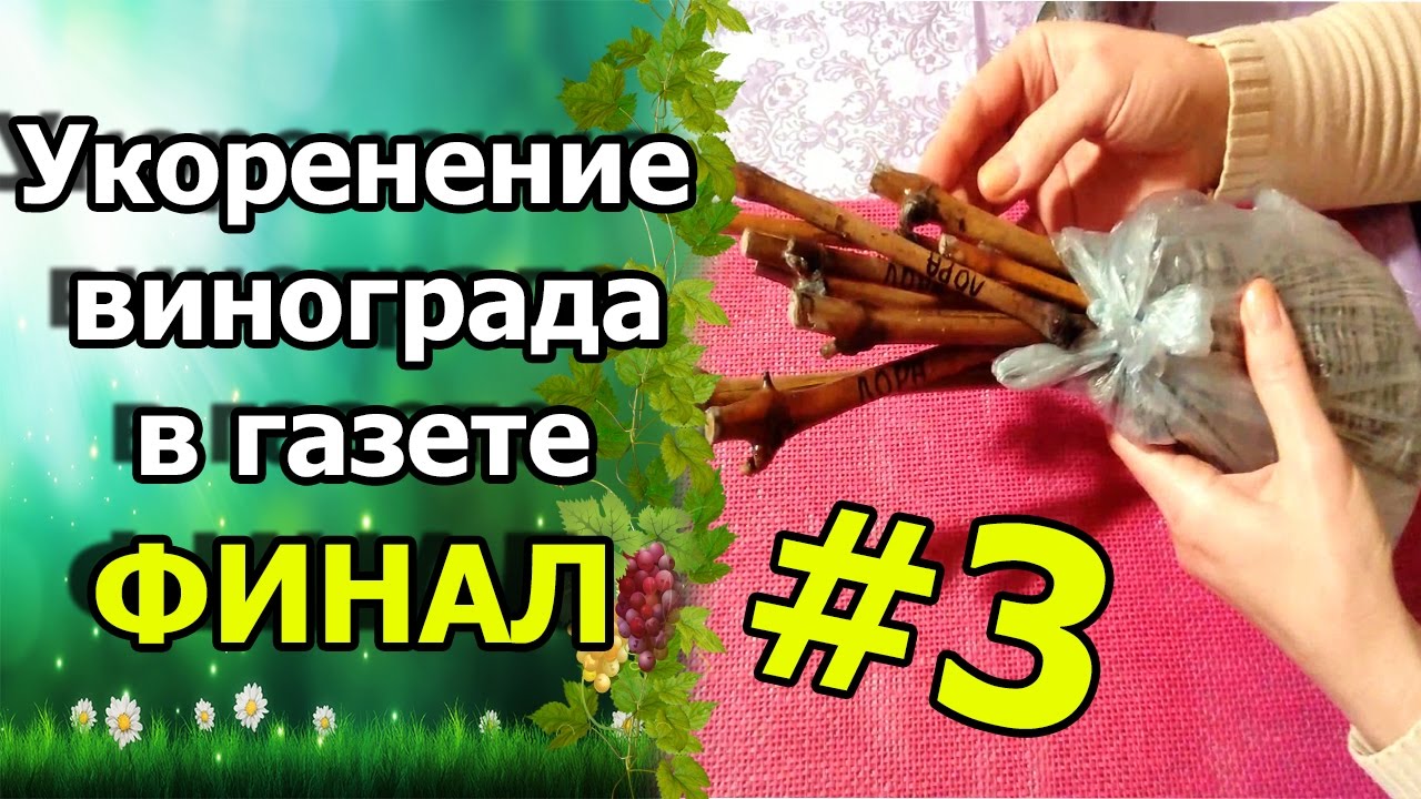 Нажмите, чтобы запустить видео