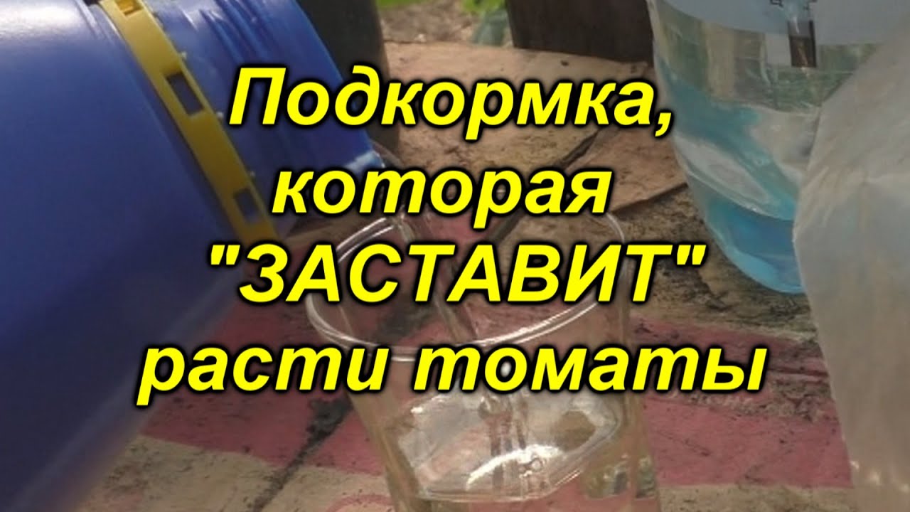 Нажмите, чтобы запустить видео