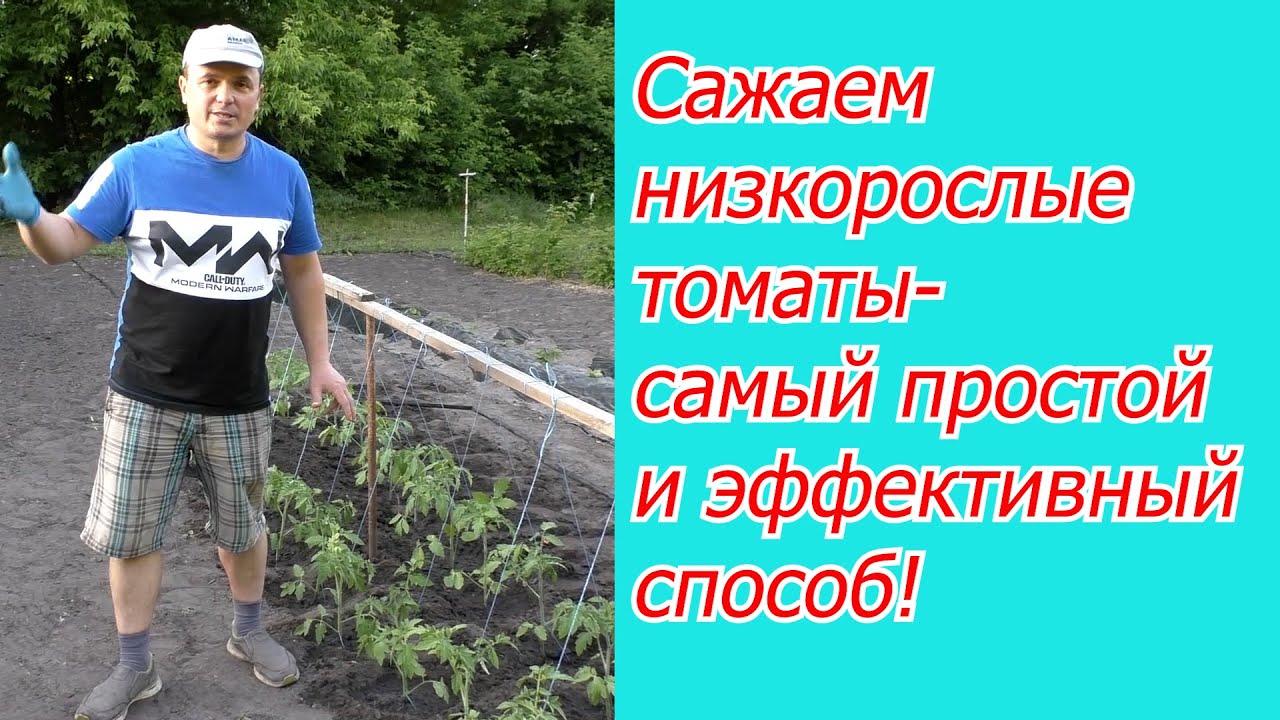Нажмите, чтобы запустить видео