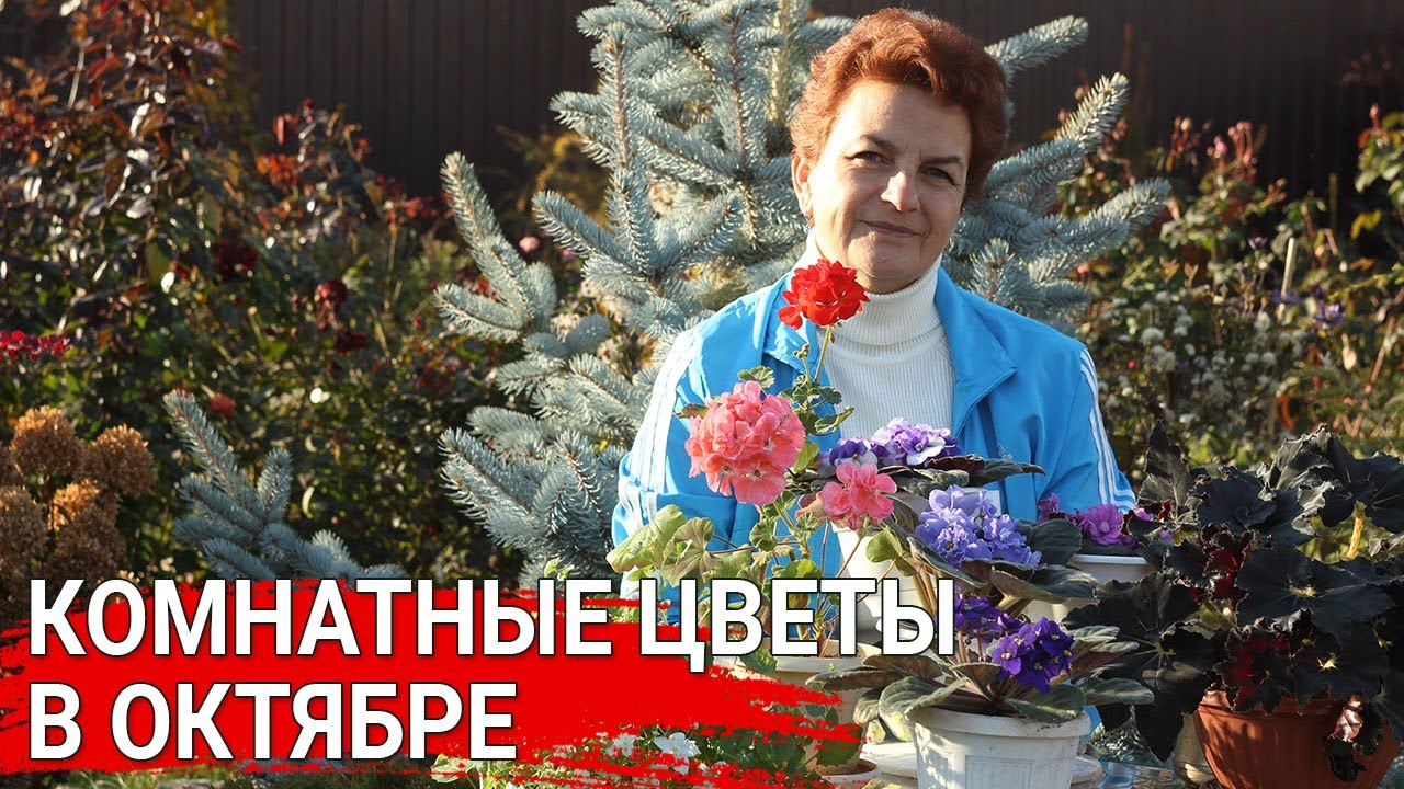 Нажмите, чтобы запустить видео