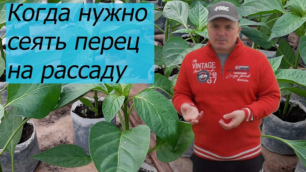 Нажмите, чтобы запустить видео