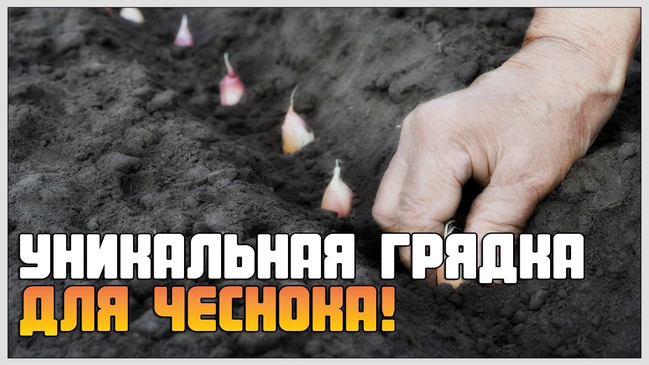 Нажмите, чтобы запустить видео
