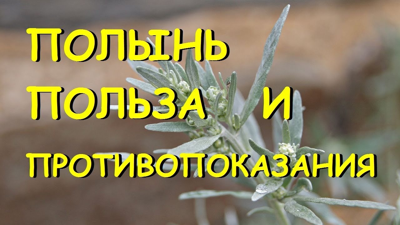 Нажмите, чтобы запустить видео
