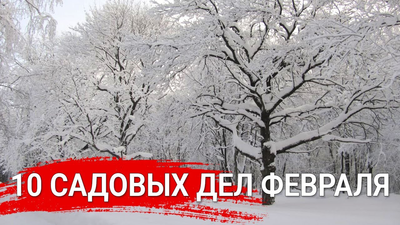 Нажмите, чтобы запустить видео