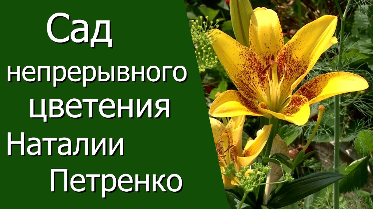 Нажмите, чтобы запустить видео
