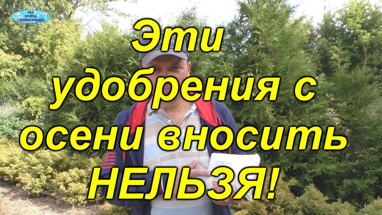 Нажмите, чтобы запустить видео