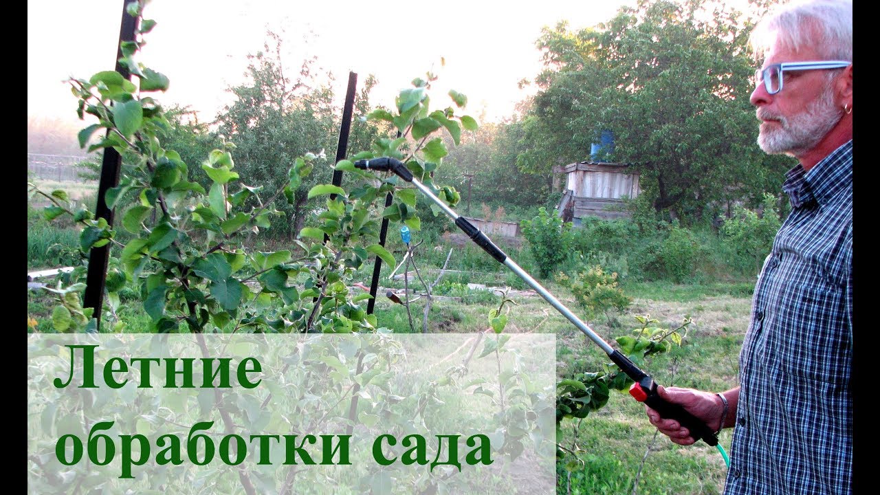 Нажмите, чтобы запустить видео