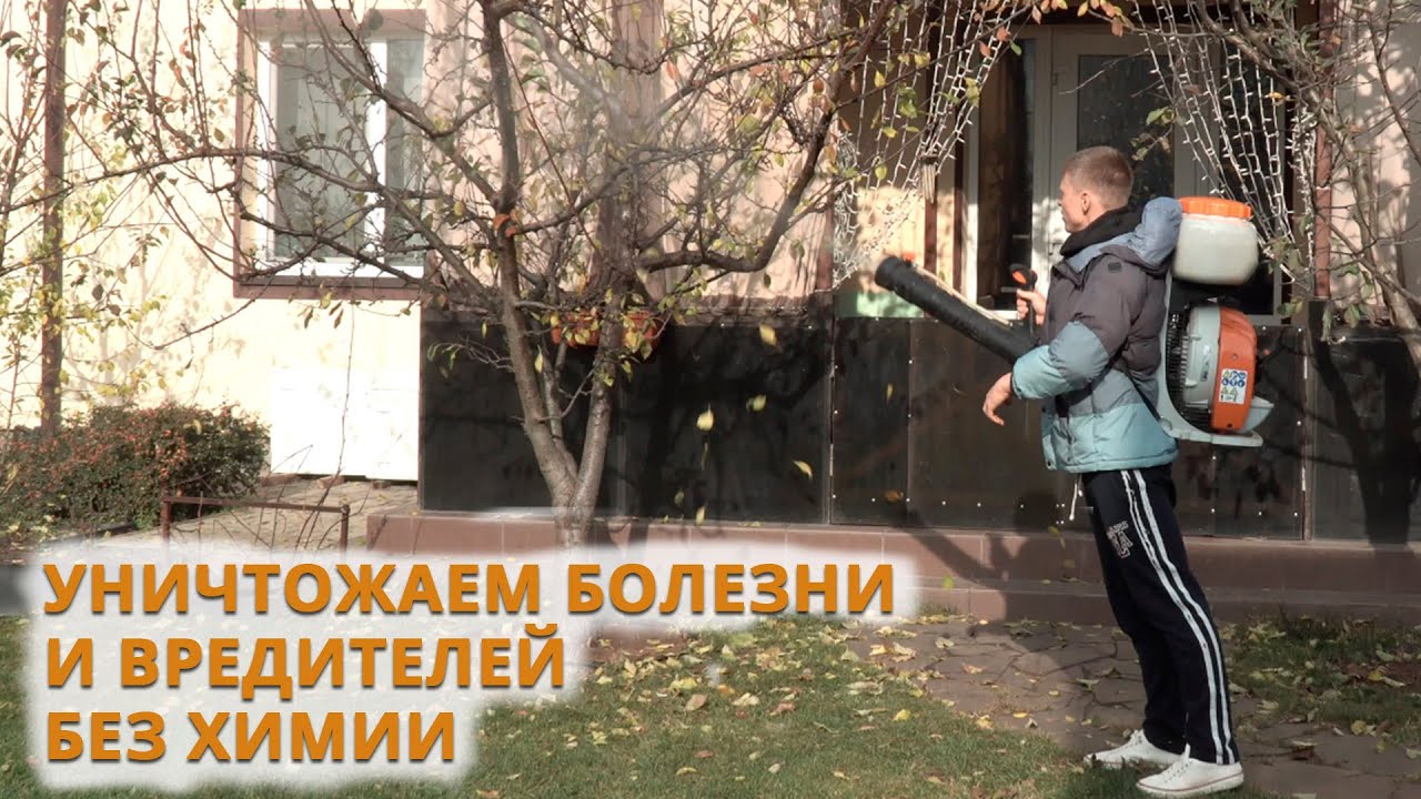 Нажмите, чтобы запустить видео