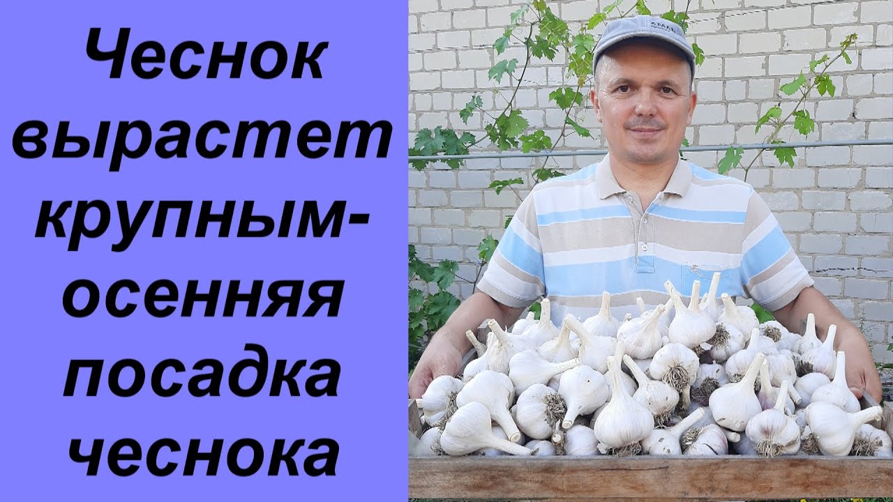 Нажмите, чтобы запустить видео