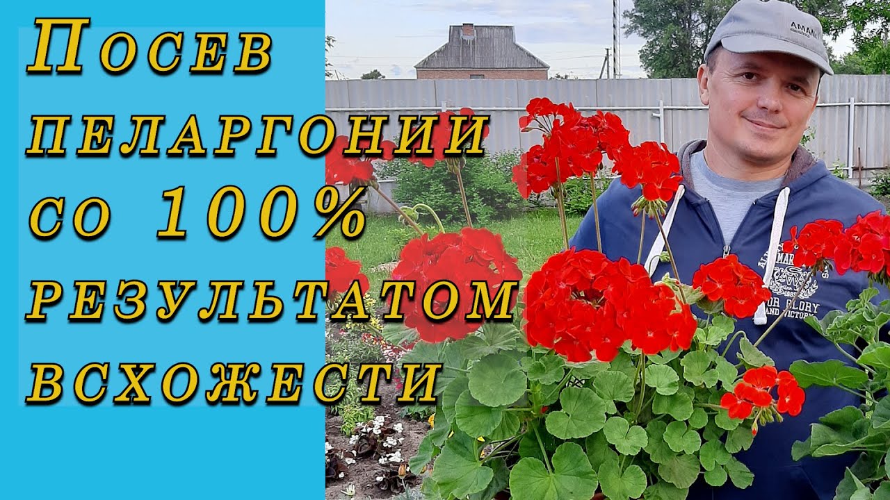 Нажмите, чтобы запустить видео