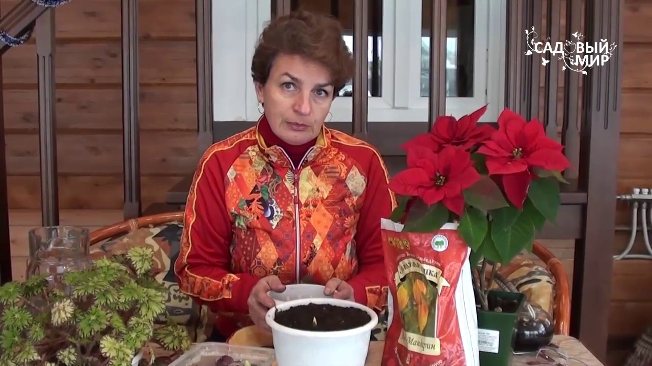 Нажмите, чтобы запустить видео
