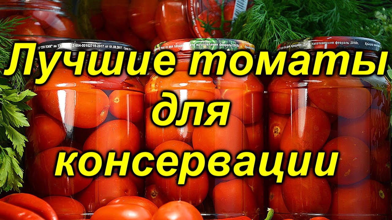 Нажмите, чтобы запустить видео