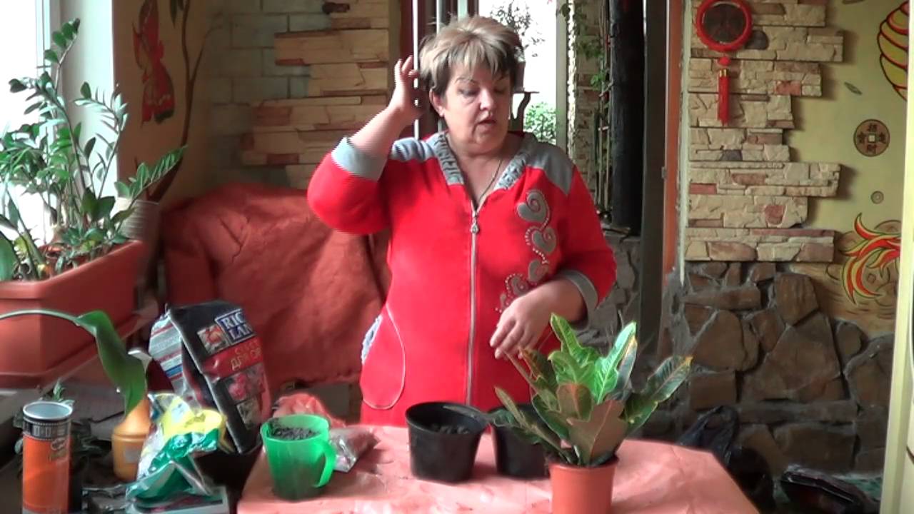 Нажмите, чтобы запустить видео