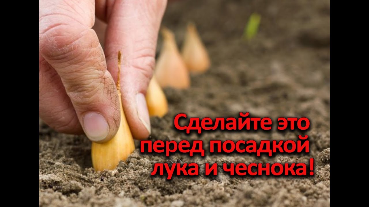 Нажмите, чтобы запустить видео