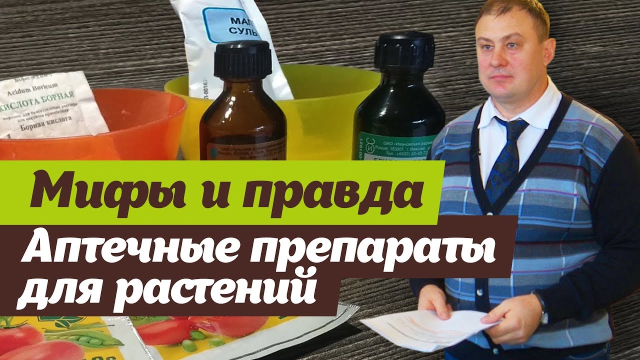 Нажмите, чтобы запустить видео