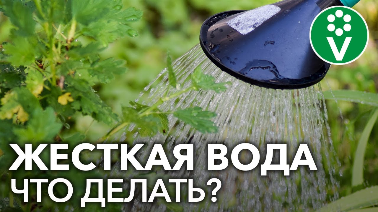 Нажмите, чтобы запустить видео