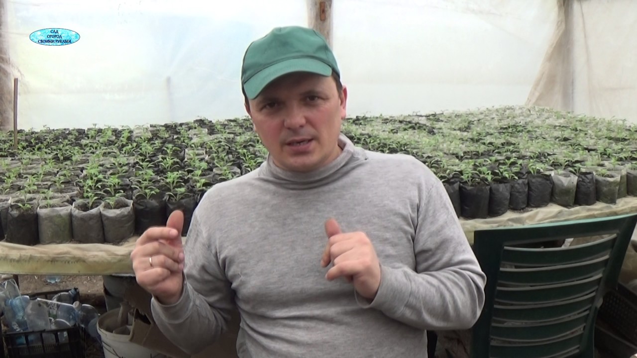 Нажмите, чтобы запустить видео
