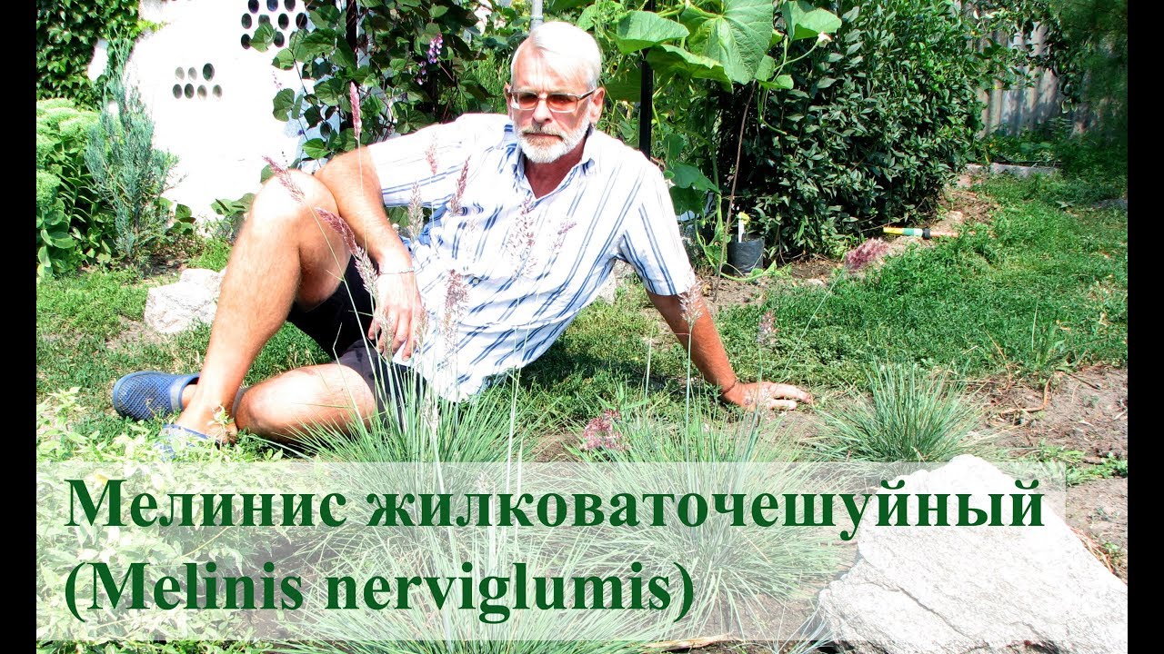 Нажмите, чтобы запустить видео