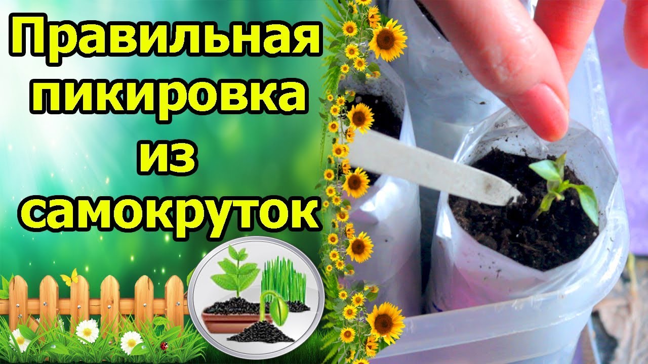 Нажмите, чтобы запустить видео