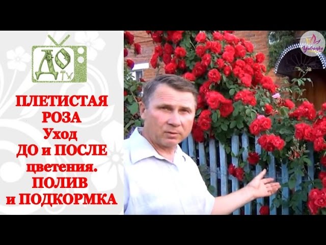 Нажмите, чтобы запустить видео