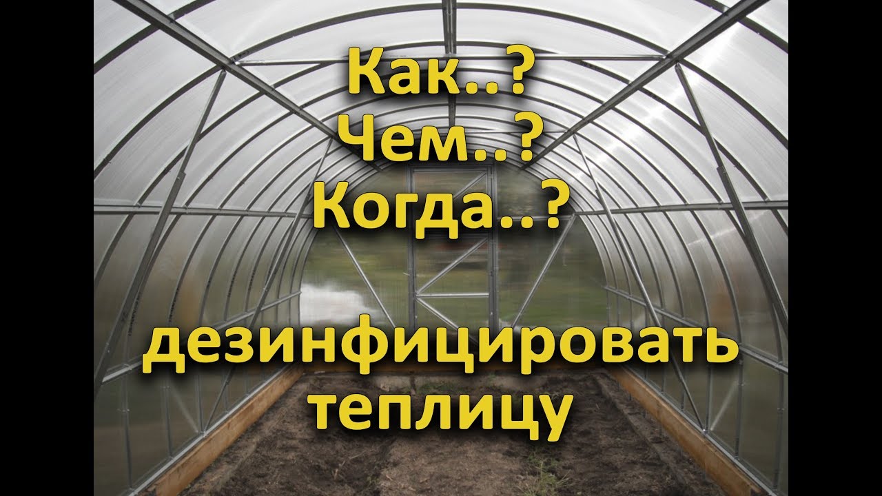 Нажмите, чтобы запустить видео