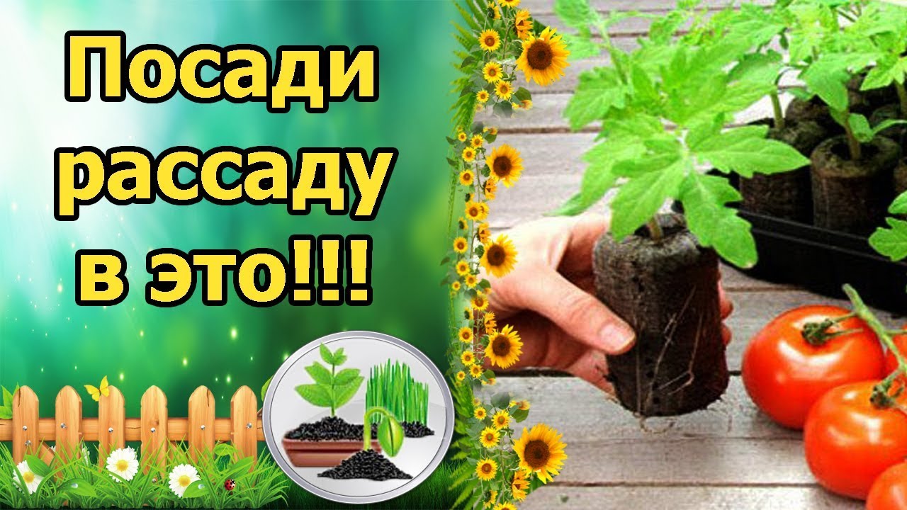 Нажмите, чтобы запустить видео