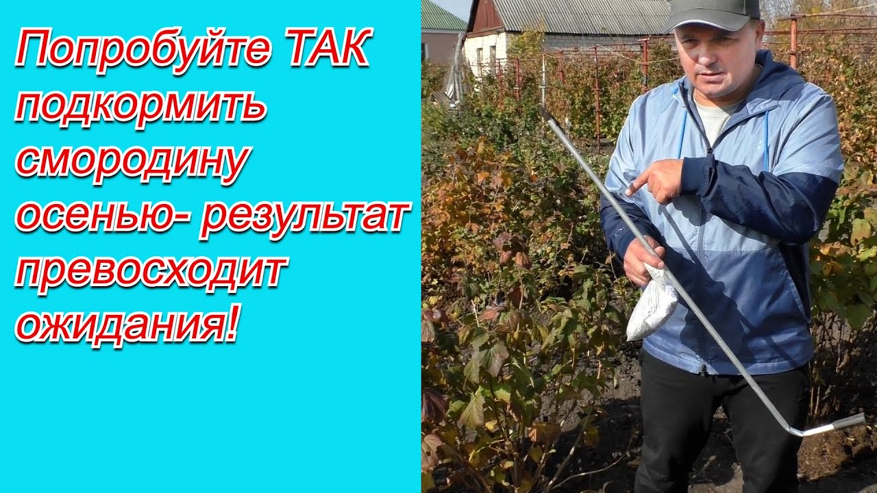 Нажмите, чтобы запустить видео