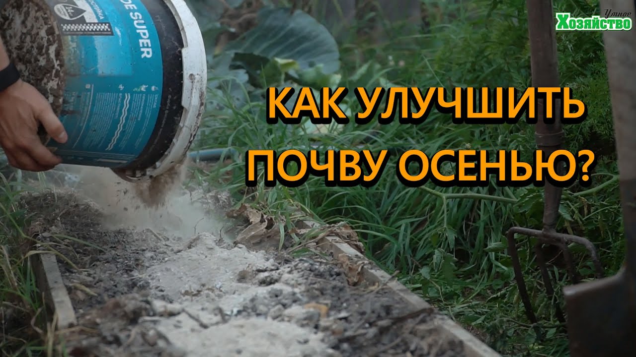 Нажмите, чтобы запустить видео