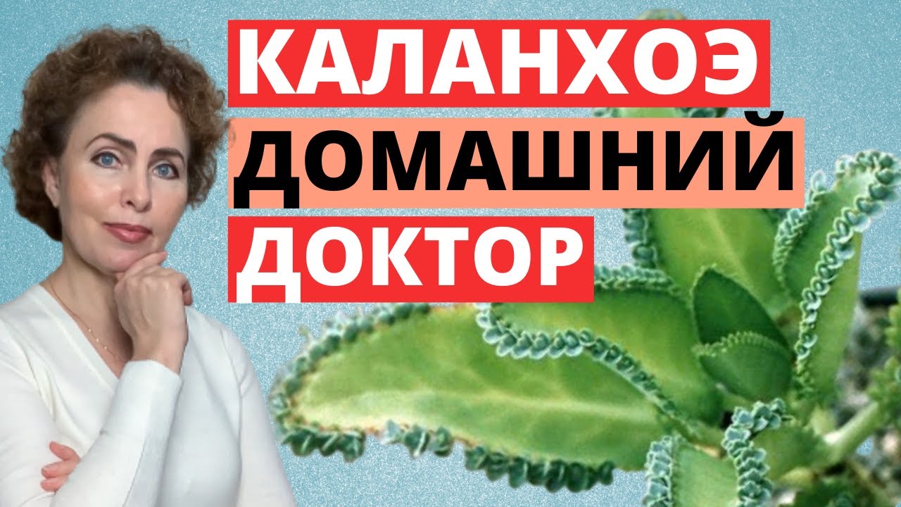 Нажмите, чтобы запустить видео