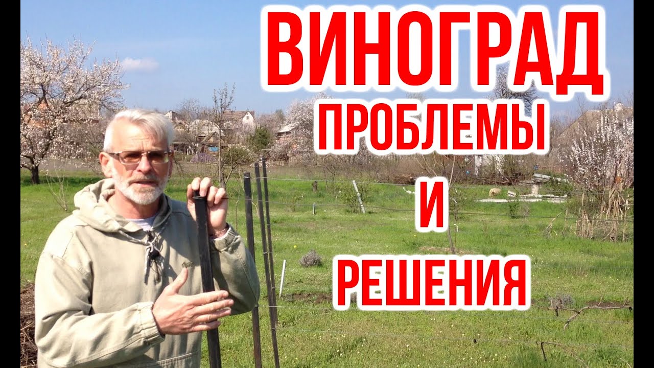 Нажмите, чтобы запустить видео