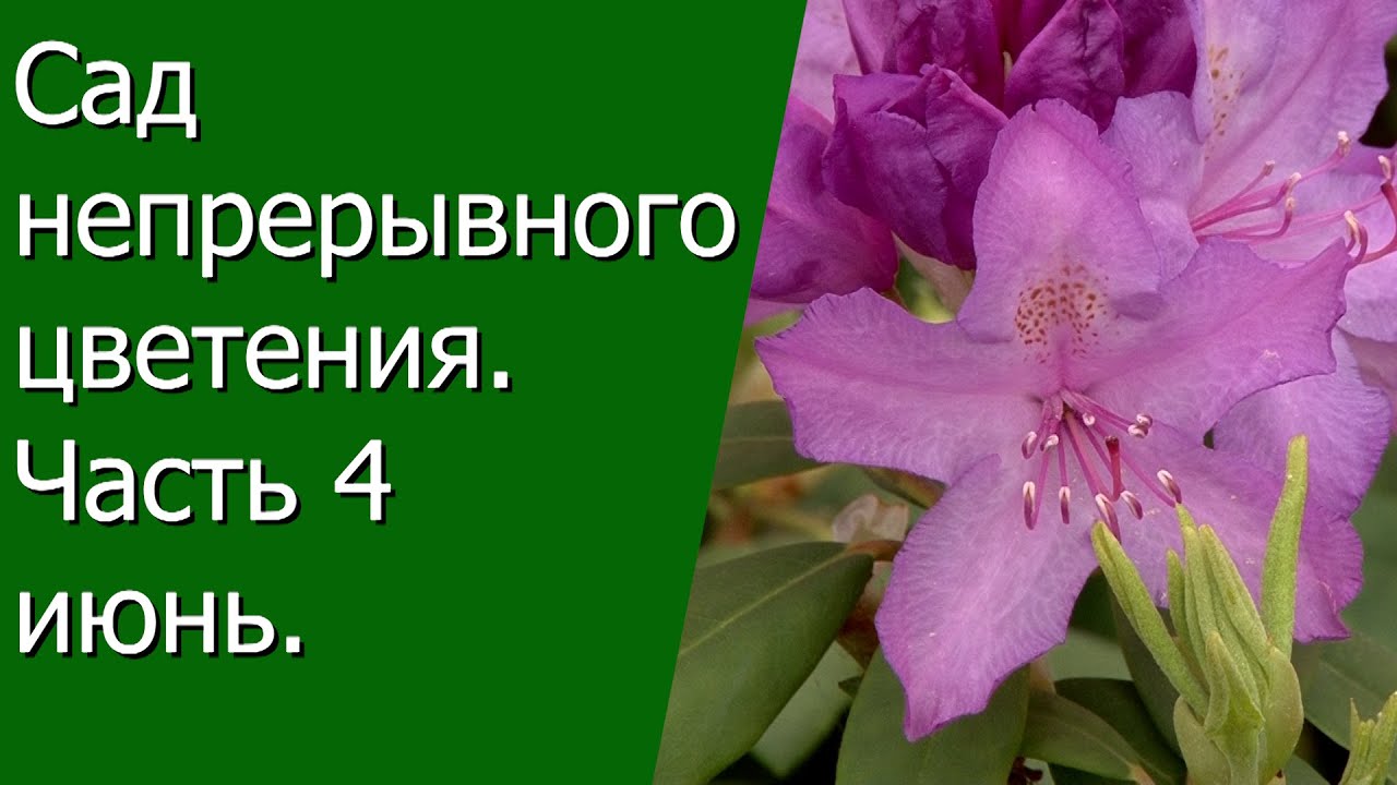 Нажмите, чтобы запустить видео