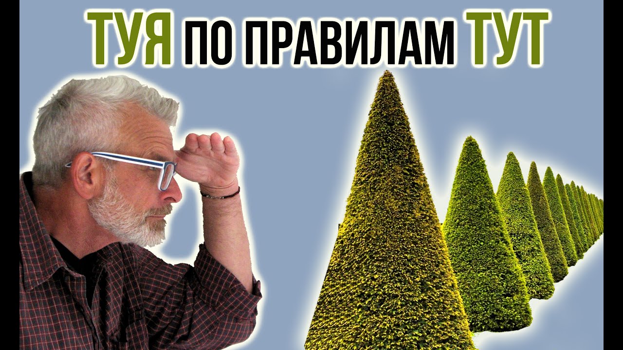 Нажмите, чтобы запустить видео