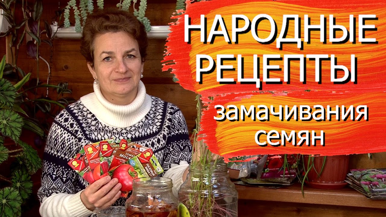 Нажмите, чтобы запустить видео
