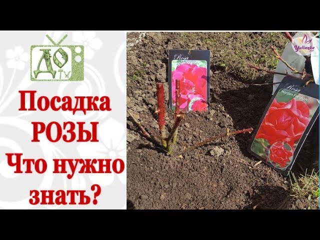 Нажмите, чтобы запустить видео
