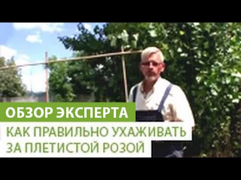 Нажмите, чтобы запустить видео