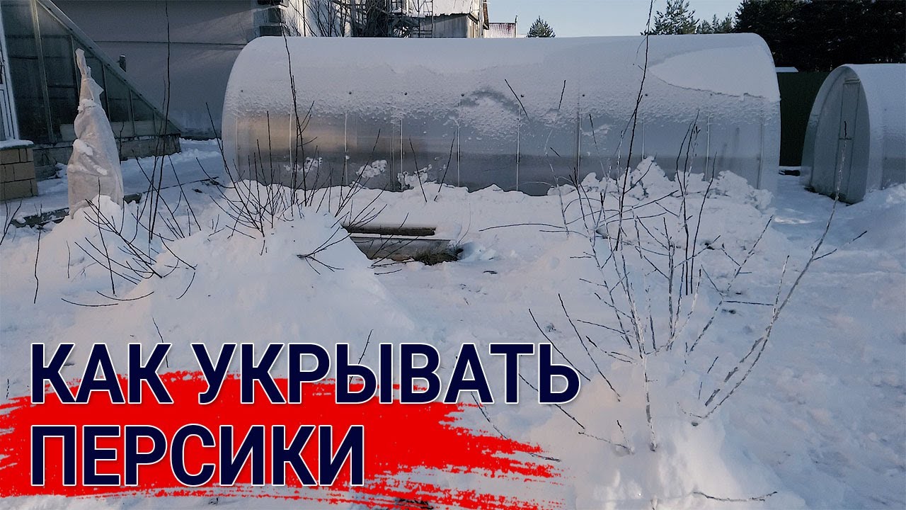 Нажмите, чтобы запустить видео