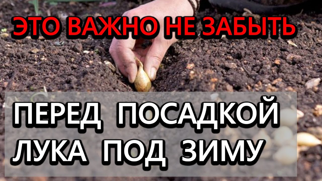 Нажмите, чтобы запустить видео