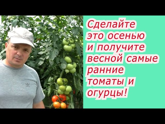 Нажмите, чтобы запустить видео