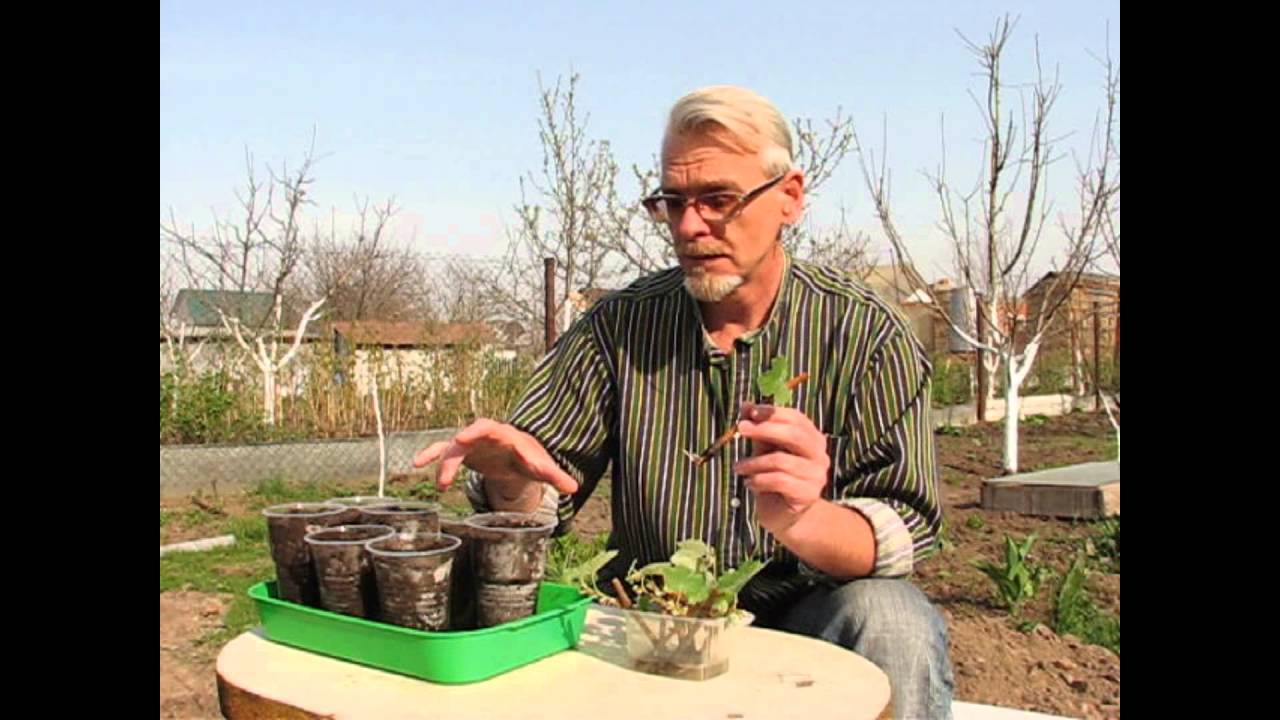 Нажмите, чтобы запустить видео