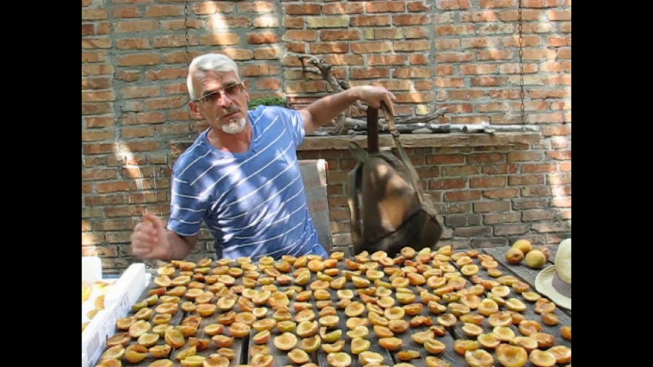 Нажмите, чтобы запустить видео